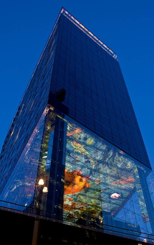 So vienna donaukanal decke