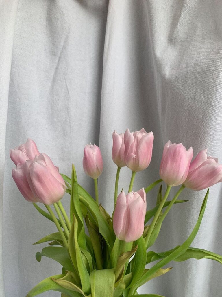 Ostara Rituale und Bedeutung