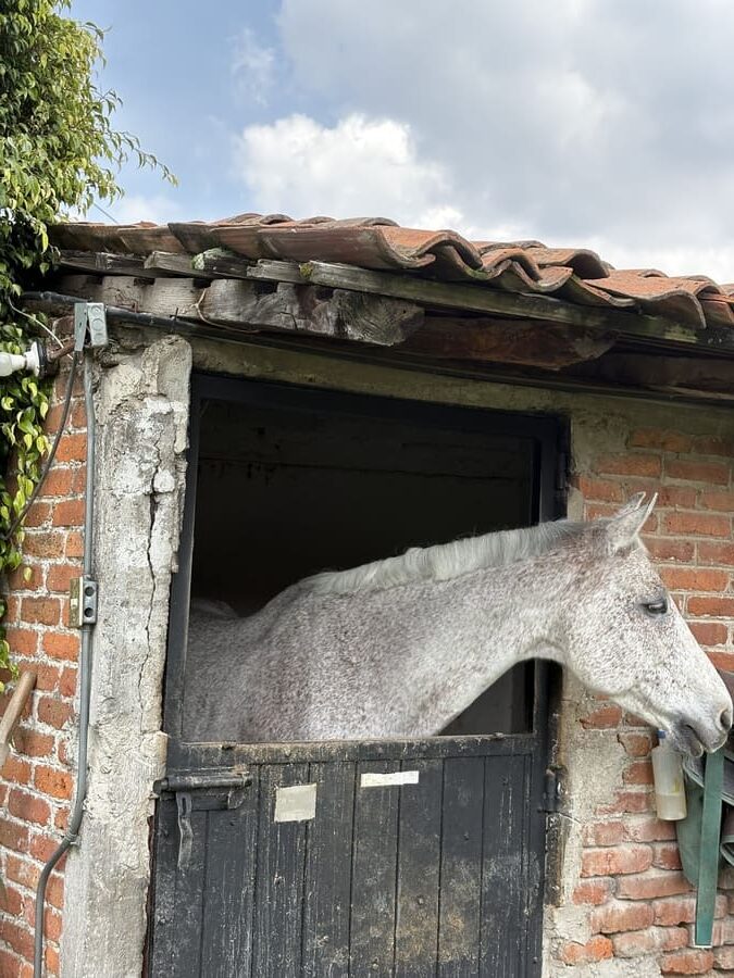 mexiko stadt tipps urlaub